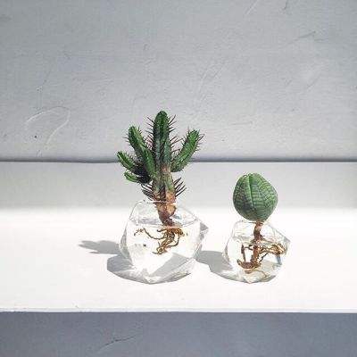 极速飞艇平台 63o 6967